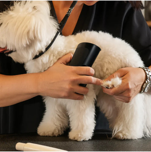 SoftGroom™ – Skonsam groomingborste för hundar & katter